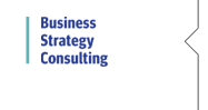 Business Strategy Consultation